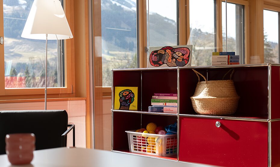 Südhang Arbeitsintegration und Handels AG Referenzobjekt Spitäler fmi AG Spital Frutigen